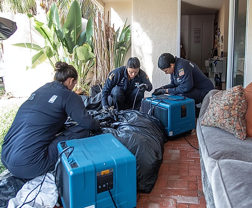 Restoration technicians at work